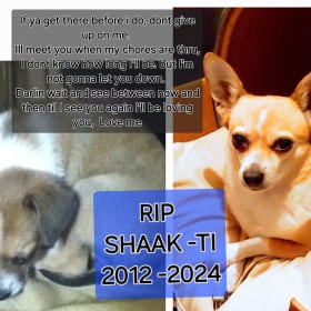 Shaak-Ti