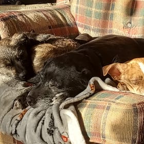 Nadia-Sophie Rae and Hazelnut