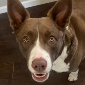 PennySue