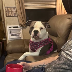 Missy