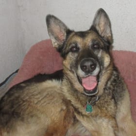 Shiloh