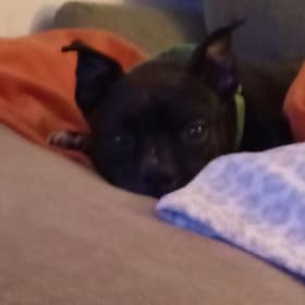 Romeo