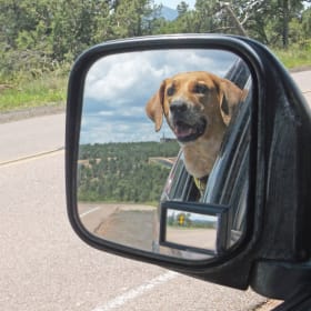 Zena the Road Warrior Princess