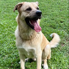 Samson