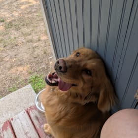 Baxter-----  Booboo