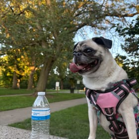 Zahiah Camil Rosario Matias