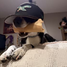 Nickel Furry
