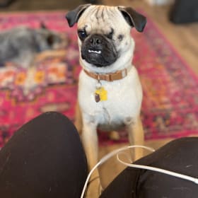 Potato Marie