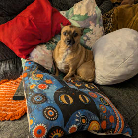 Heidi