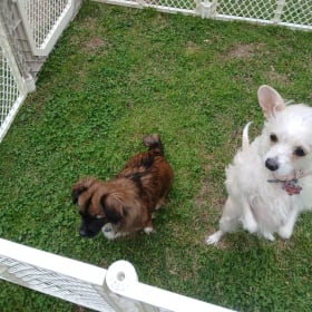 Muffin and Molly