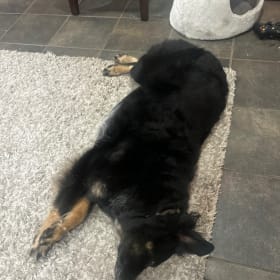 KODA