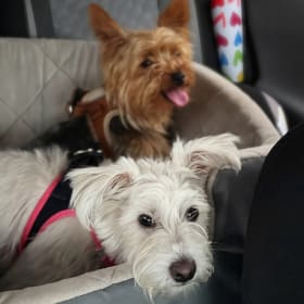 Bear and Betty Rose
