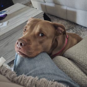 Penny
