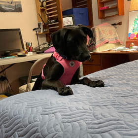 Roxy