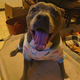 Chulo