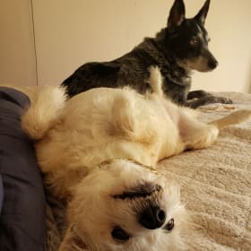 Kiki and freeto
