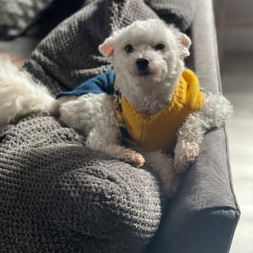 Murphy