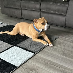 Axel