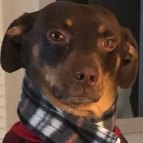 Winston
