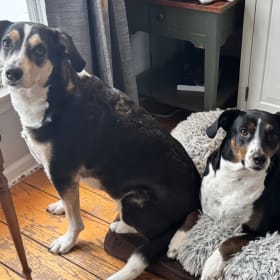 MillieandMaggie