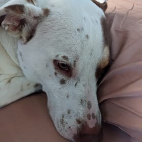 Fiona