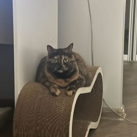 Lucy