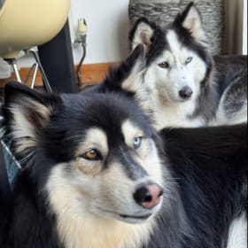Mishka and Mashka