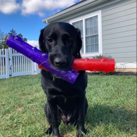 Bonnie Belle