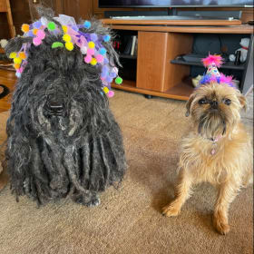 Trixie and Annie