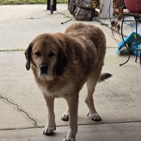 Tucker