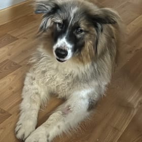 Kurt