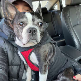 Rocco