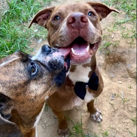 Maggie and Dom