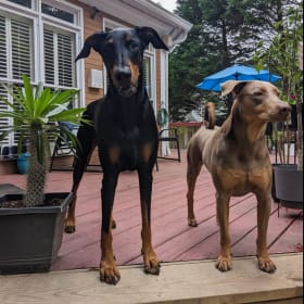 Leka and Mila
