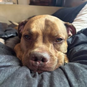 Capone