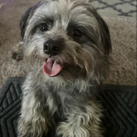 Billy