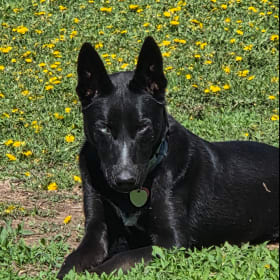 Bella