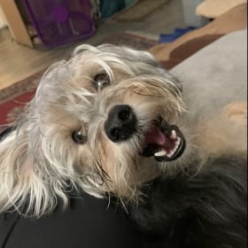 Daisy