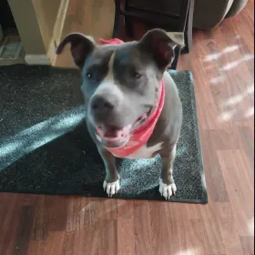 Daisy Mae