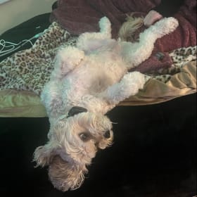 Chloe