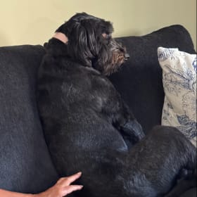 Lucy Lu