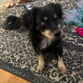 Norbert