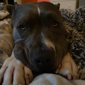Milo