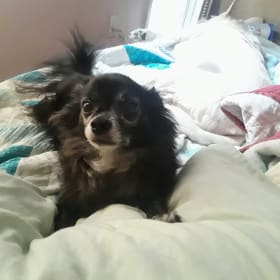 Milo