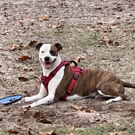 Roscoe