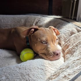 Rosie