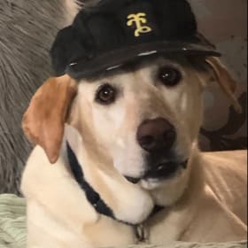 TeeTee
