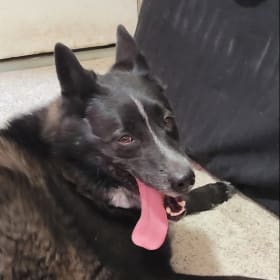 Kaia