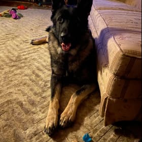 Zeus