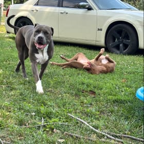 Hercules and Athena